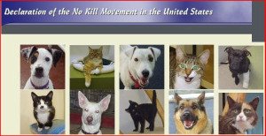 No kill movement